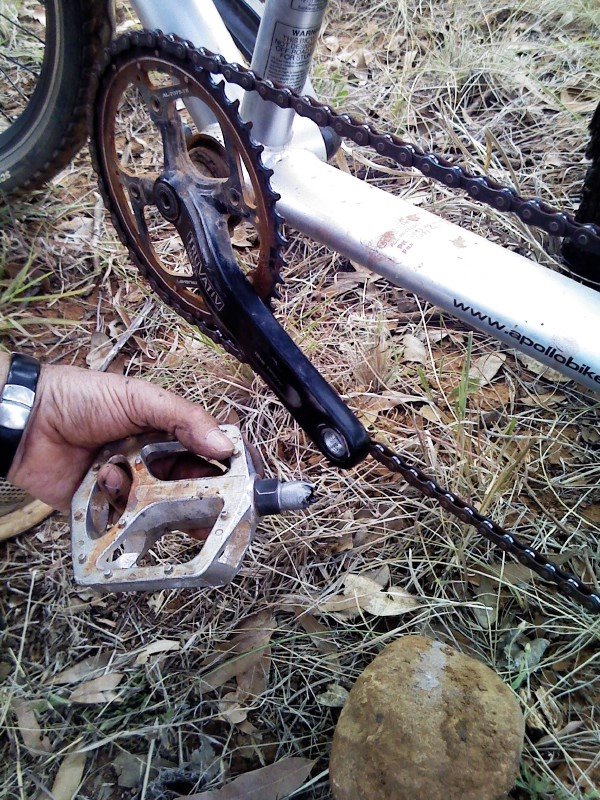 [Plague-iing+pedal+now+desparate..jpg]