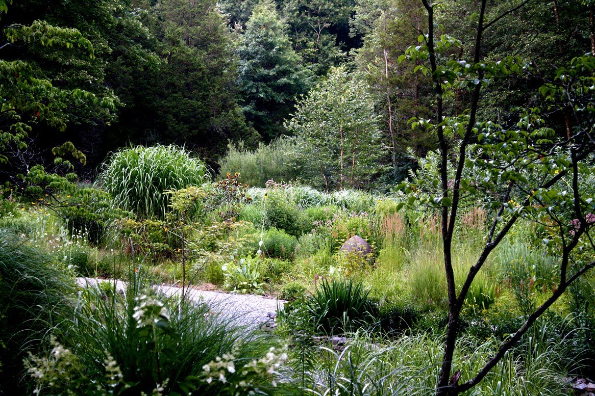 View from Federal Twist Garden Diary July 18 Walkabout