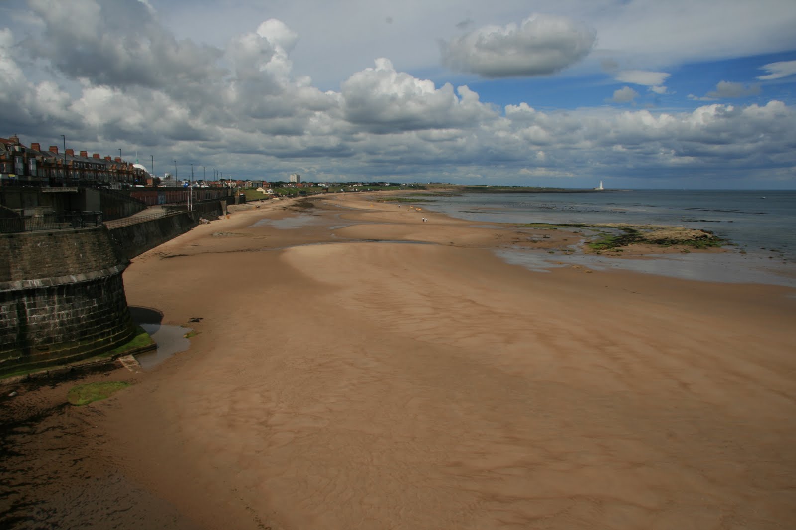 Flies The Loon North Tyneside Coast