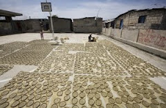 mud cakes
