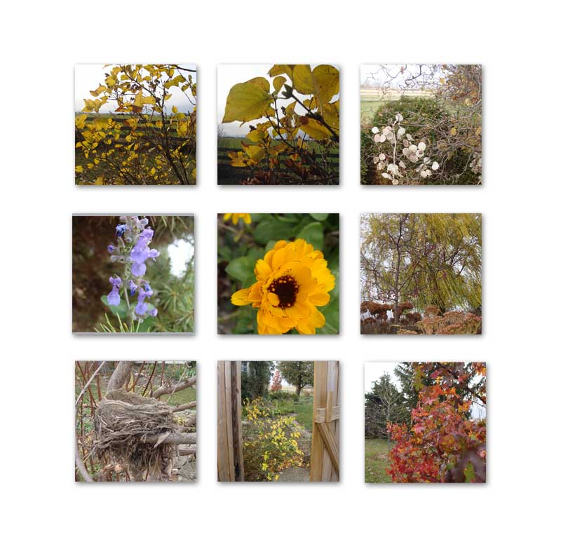november photos