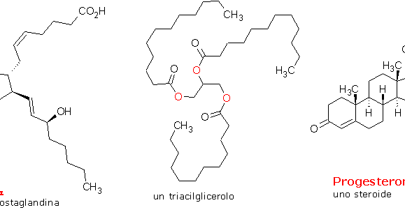 25 domande che devi porre sulla effetto degli steroidi sul corpo