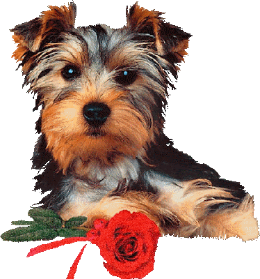 puppiesDogs86.gif