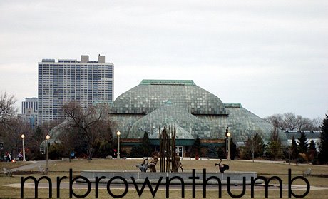 [Lincoln+Park+Conservatory.jpg]