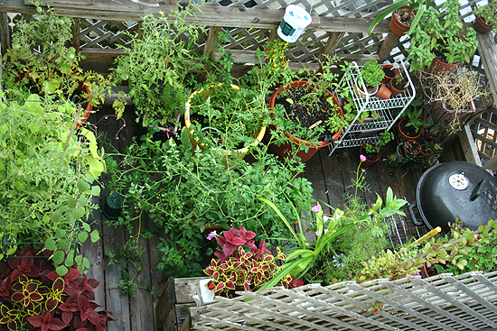 small-space-urban-balcony-garden