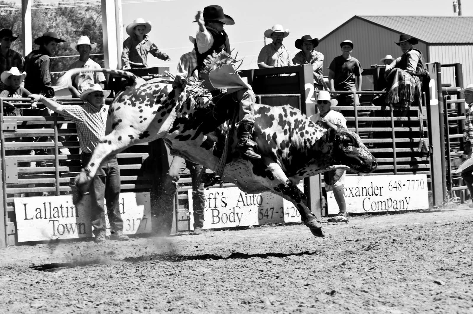 Bradens Adventure and Photo