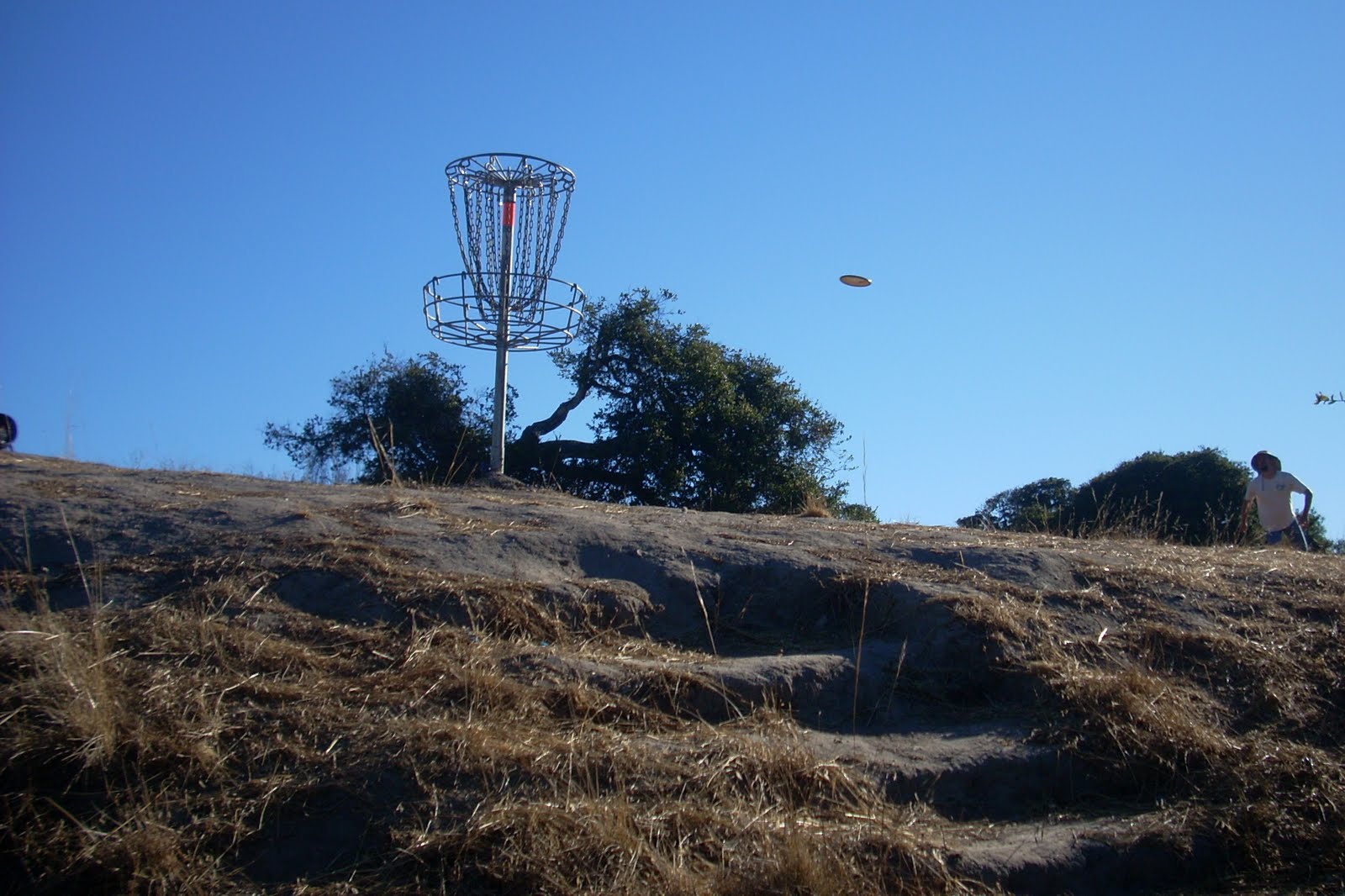 DeLa Blahg: From the Epicenter of Disc Golf: Ryan Ranch: Yet another ...