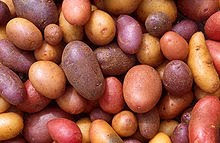 Papas galore
