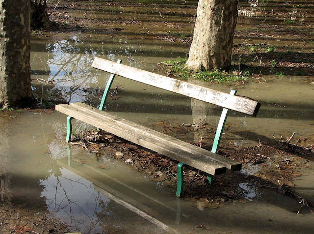 Bench after the rain, Villa Fabbricotti, Livorno