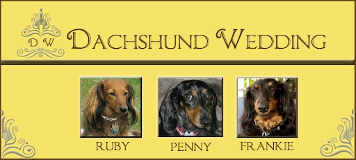 A Dachshund Wedding