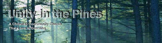 Unity in the Pines