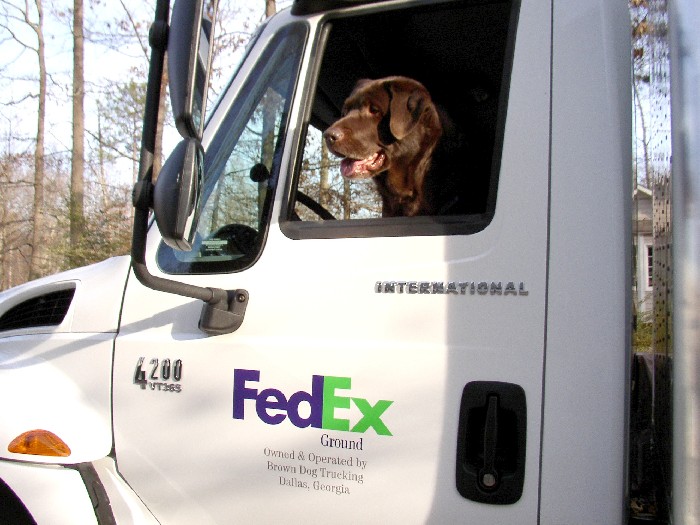 The Original Brown Dog of Brown Dog Trucking, Inc.