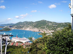 View of St. Thomas from the Sky Rail