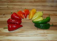 Chile Pepper Rainbow