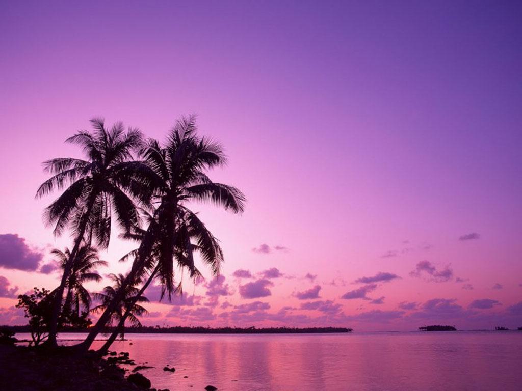 http://1.bp.blogspot.com/_AxCUJw8OWl4/TBHojUh4mZI/AAAAAAAABYM/WgzT1EDfLQk/s1600/purple-beach-sun-set.jpg