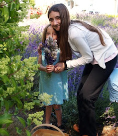 Lavender Garden
