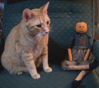 Jasper and Mr. Pumpkin sitting in my chair