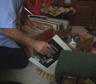 Annie sitting in the empty box by Dad