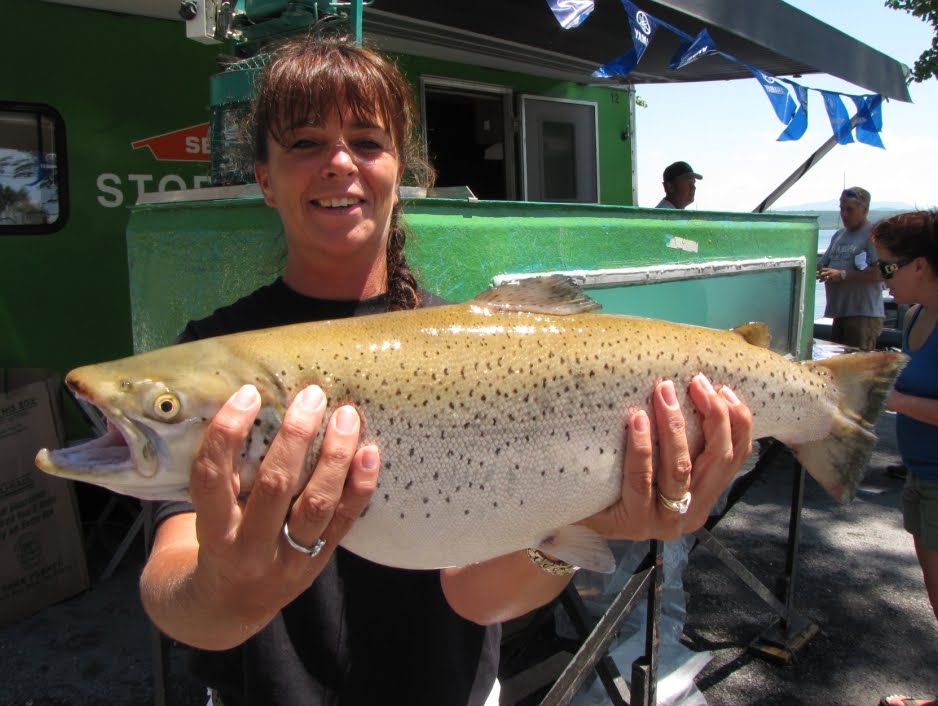 Fish H8 Me™ BIG BEAUTIFUL LAKE CHAMPLAIN BROWN TROUT