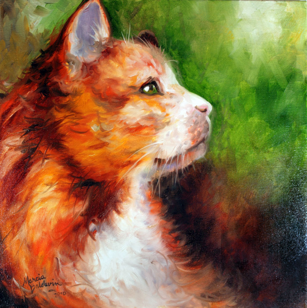 Daily paintings fine art originals by marcia baldwin 2010 sweet