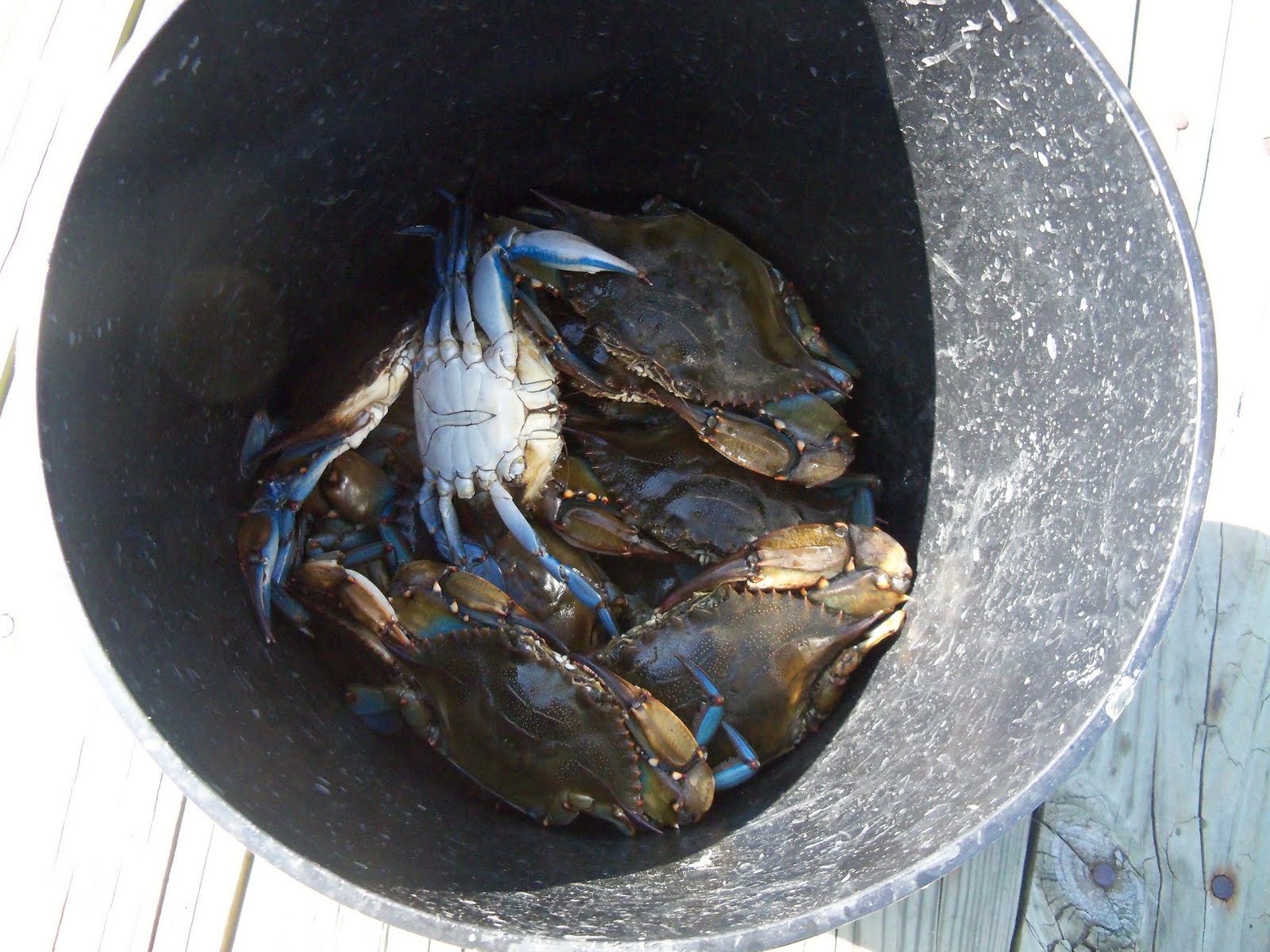 Moss Point, MS History