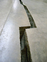 Doris Salcedo