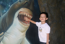 Shark attack!!!