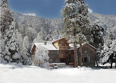 Collins Lodge