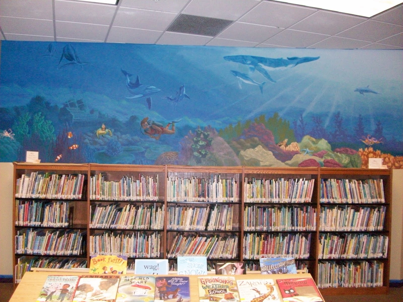 Manlius Library Coral Reef Our New Mural