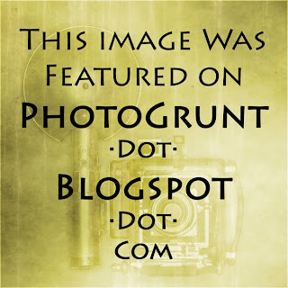 Photo Grunt Blog Badge