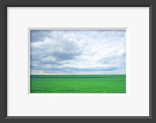 A framed photo of lush spring grass stretches as far as the eye can see into the horizon with a rain promising spring sky overhead.