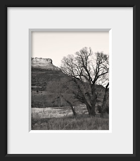 A framed photo of an ancient cottonwood tree guards the entrance to the valley into Redstone Canyon with its trademark red mesa in the background.