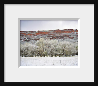 Framed photo of snowy cottonwoods line a creek at the bottom of the towering western mesa pointing to a water source and creating layers of subtle color.