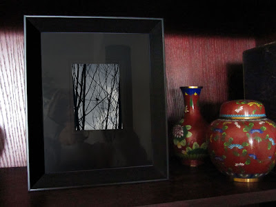 A black matted and framed photo of a small bird silhouette resting on tree branches against a gray storm clouded sky.