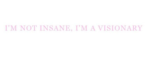 i'm not insane, i'm a visionary