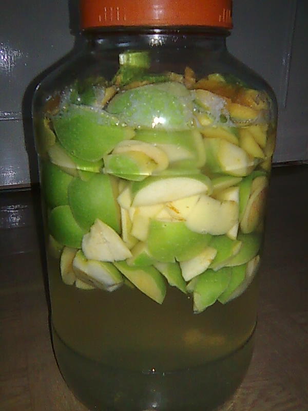 SWOTPISCES EVDE SİRKE YAPIMI&hellip; )