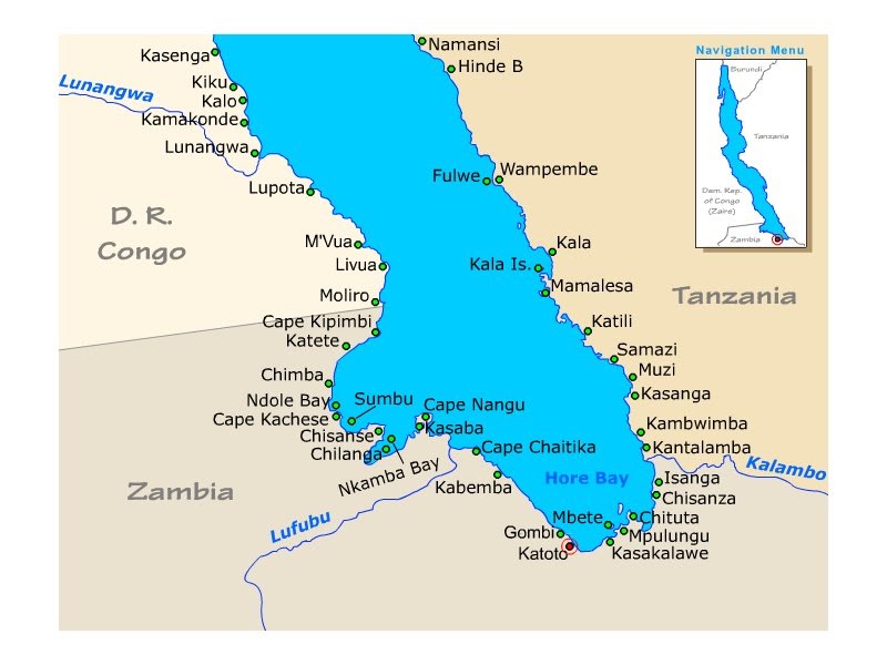 Lago Tanganyika ARTICULO julidochromis transcriptus gombe