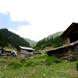 yayla3.jpg