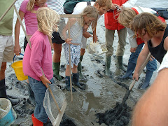 Excursies op Schiermonnikoog