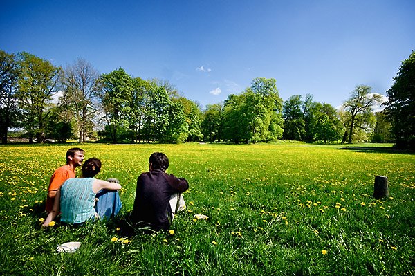 [EstManorLawnBreakfastMy09.jpg]