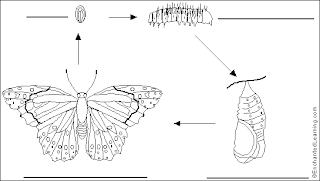 PPS215-NADIM: Dunia Rama-rama
