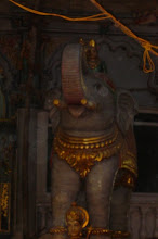The Indian Elephant