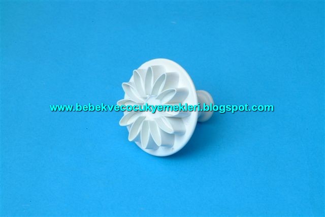 [2009orgubluzmoda5.jpg]