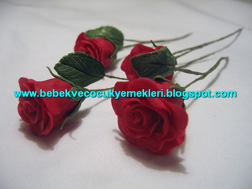 [sekerhamurucicek11.jpg]