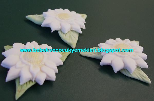 [sekerhamurucicek2.jpg]