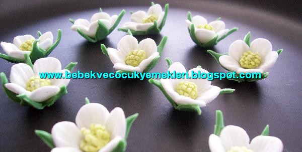 [sekerhamurucicek5.jpg]