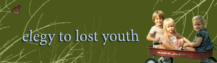 elegy to lost youth