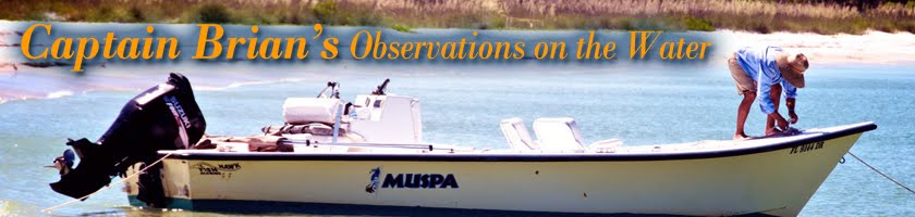 Capt. Brian's Observations On The Water