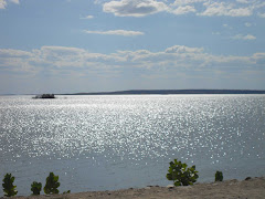 Paisagem do Sertão - Mares do Sertão