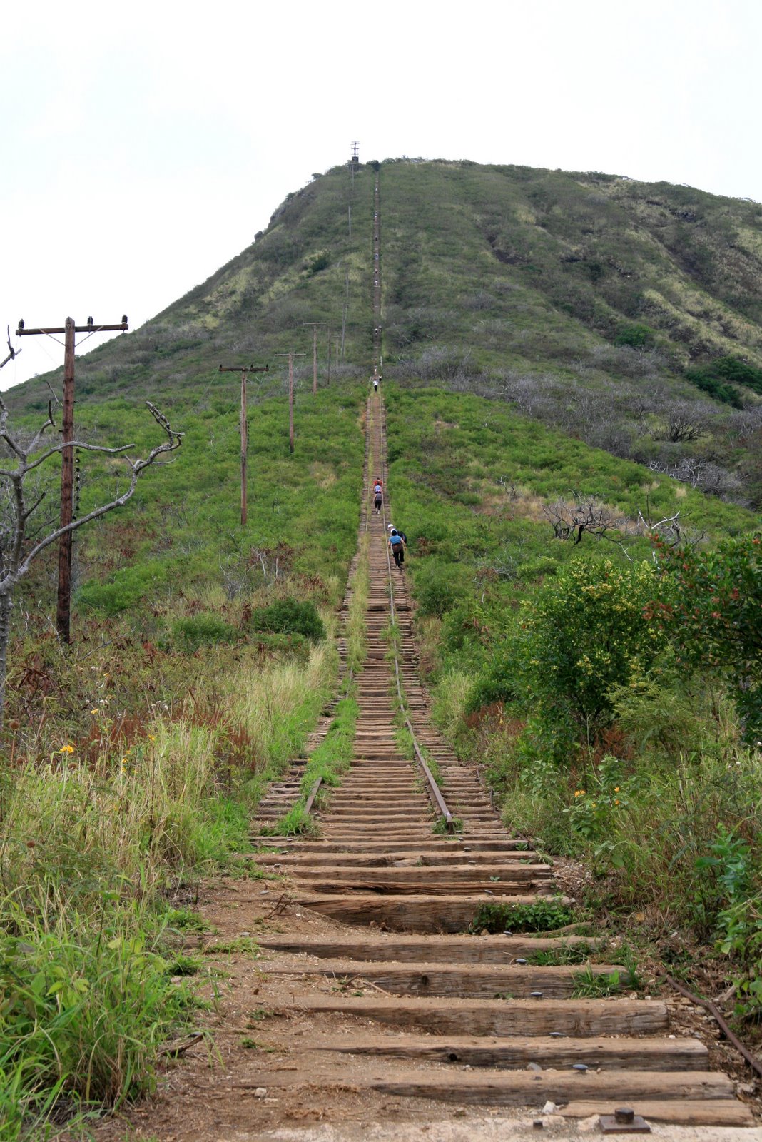 Extreme Hiking Hawaii: Extreme Koko Crater tramway ascent
